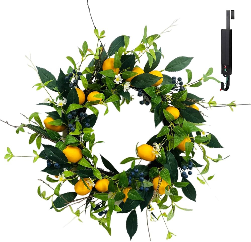 Solar Spring Wreath 24inchWreath for Front Door Artificial Pre-lit 50LED Spring Decorations for O... | Amazon (US)