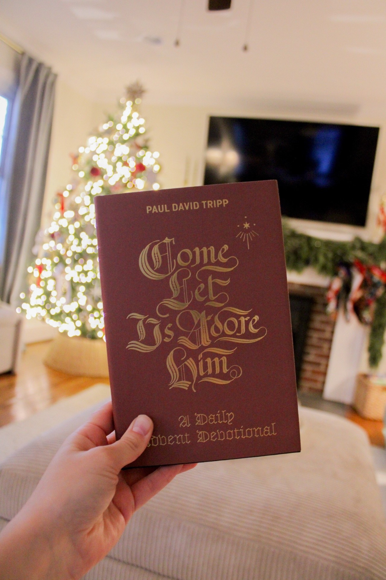My favorite advent devotional to read this time of year! 🎄✨

#LTKmorningroutine #LTKselfcare #LTKHoliday