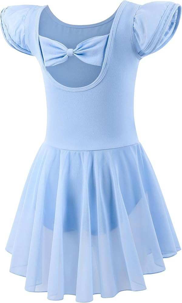 Ballet Leotards for Girls Toddler Dance Leotards Short/Long Sleeve Skirt Ballerina Outfits | Amazon (US)