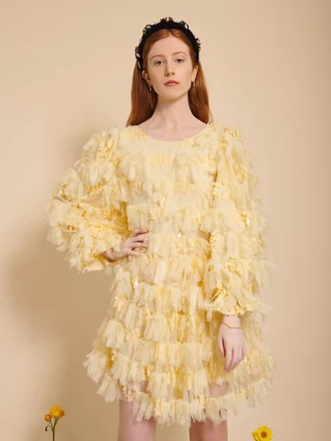 Wing Ruffle Mini Dress | Sister Jane (UK)