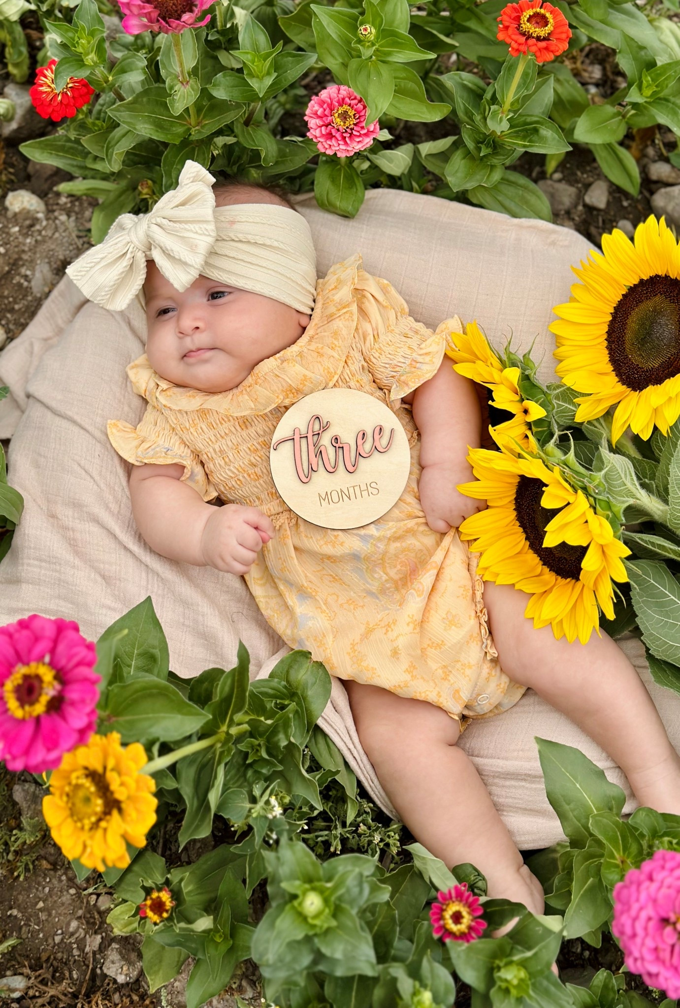 Newborn pictures 

#LTKBaby #LTKStyleTip #LTKSeasonal