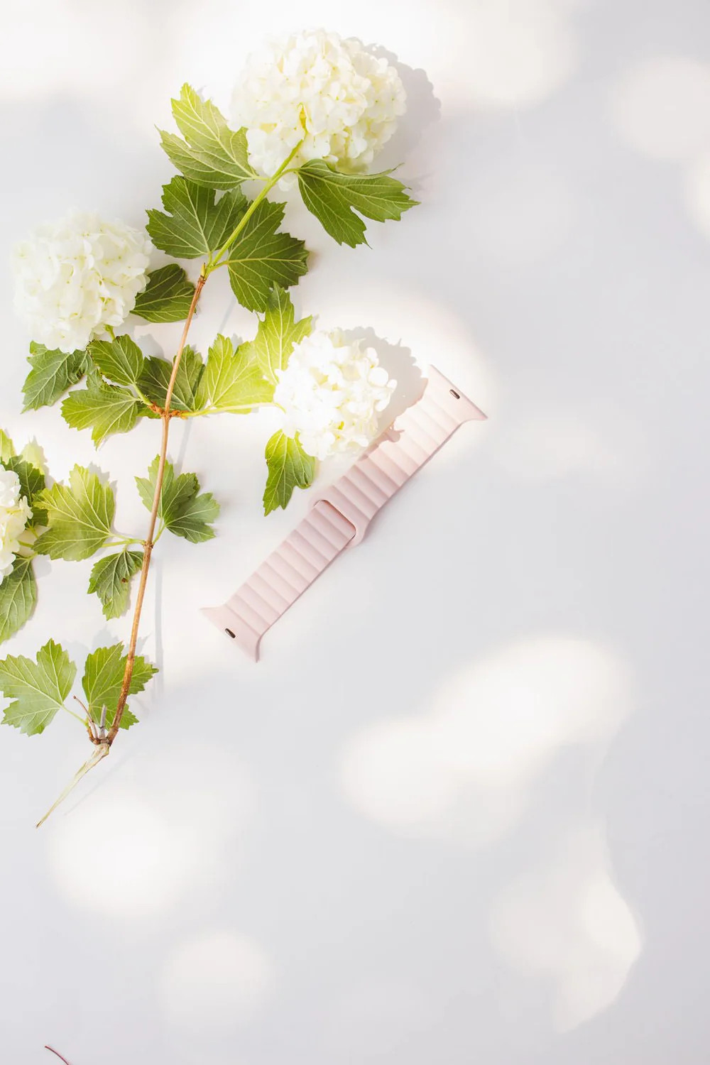 Ballet Pink Magnetic Loop Watch Band | Shop Andi