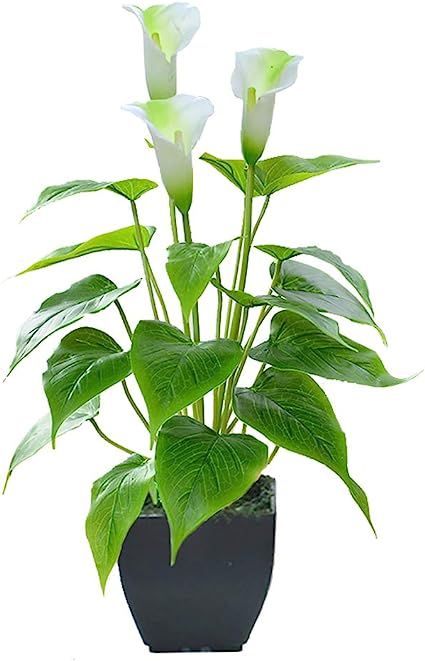 Artificial Flower Calla Lily Faux Small Potted Plant with Black Pot Fake Bonsai Flower for Home, ... | Amazon (CA)