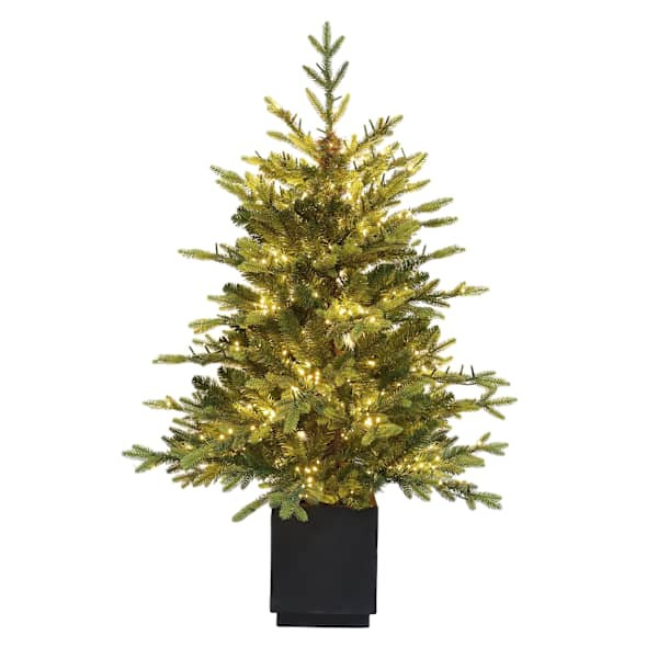 Pre-Lit Bradley Spruce Porch Tree, 4', Green, Plastic, sold by At Home | At Home