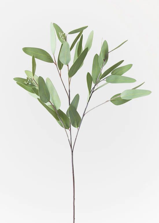 Faux Real Touch Eucalyptus Branch - 31" | Afloral