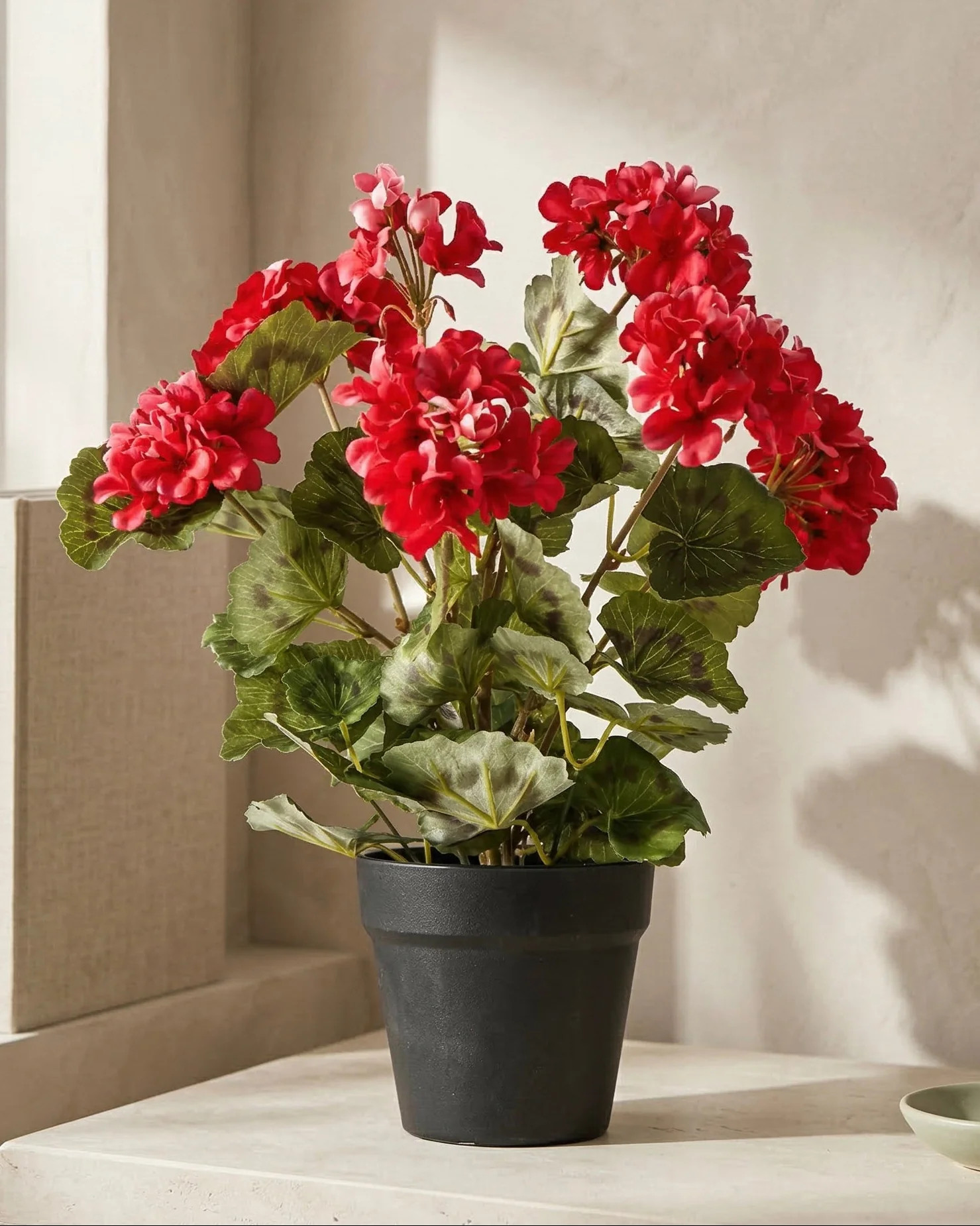 Potted Red Geranium | MJHome