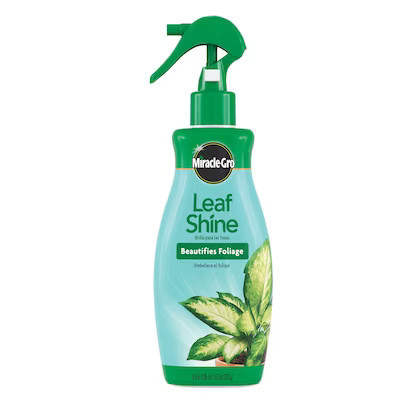 Miracle-Gro 8-fl oz Leaf Shine | Lowe's