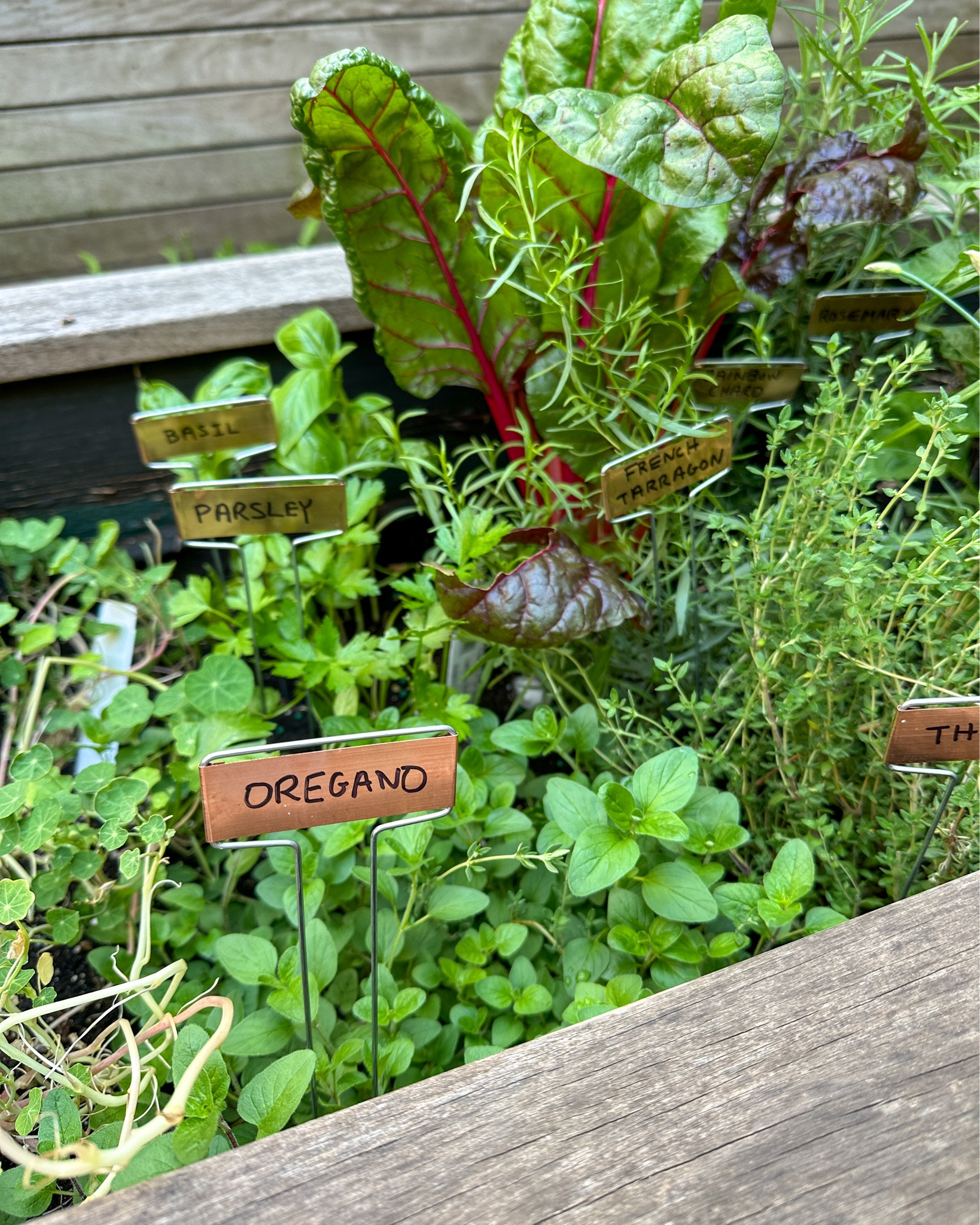 Every herb garden needs plant labels, but plastic ones won’t do. I found the most attractive yet still functional plant labels - and they’ve cheap and available on Amazon. 

I went with the copper plant labels shown in the first image. My friend has and assured me they develop a beautiful patina over time. 

Then recently I discovered these slate plant labels that I also think look really great. Bonus: they’re reusable. 

#LTKSeasonal #LTKHome