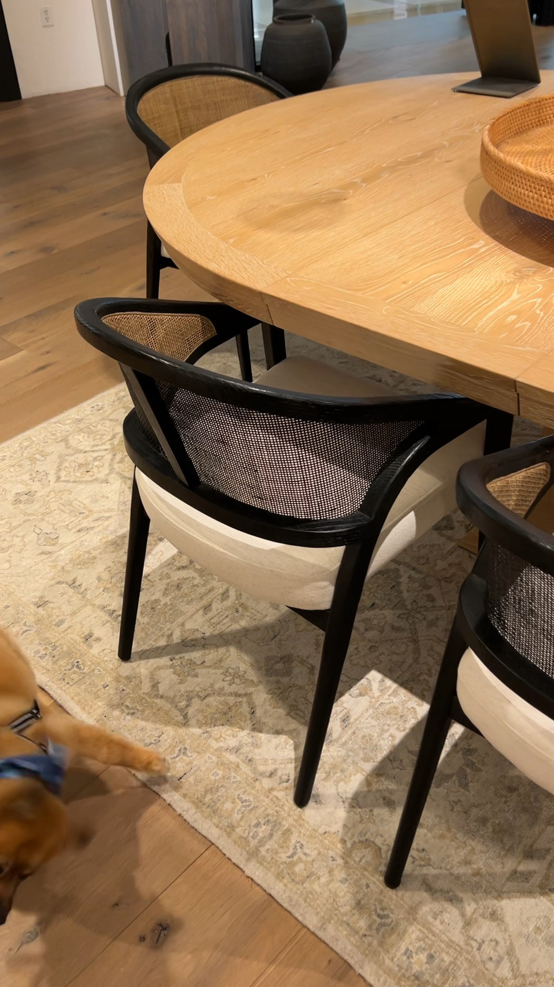 Don’t mind my dog 🤣🤣 

Dining chairs, dining room, black cane chairs, organic modern dining room, oversized dining table, home decor, arhaus 

#LTKStyleTip #LTKHome #LTKSummerSales