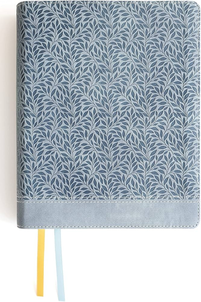 NIV, Journal the Word Bible (Perfect for Note-Taking), Large Print, Leathersoft, Teal, Red Letter... | Amazon (US)