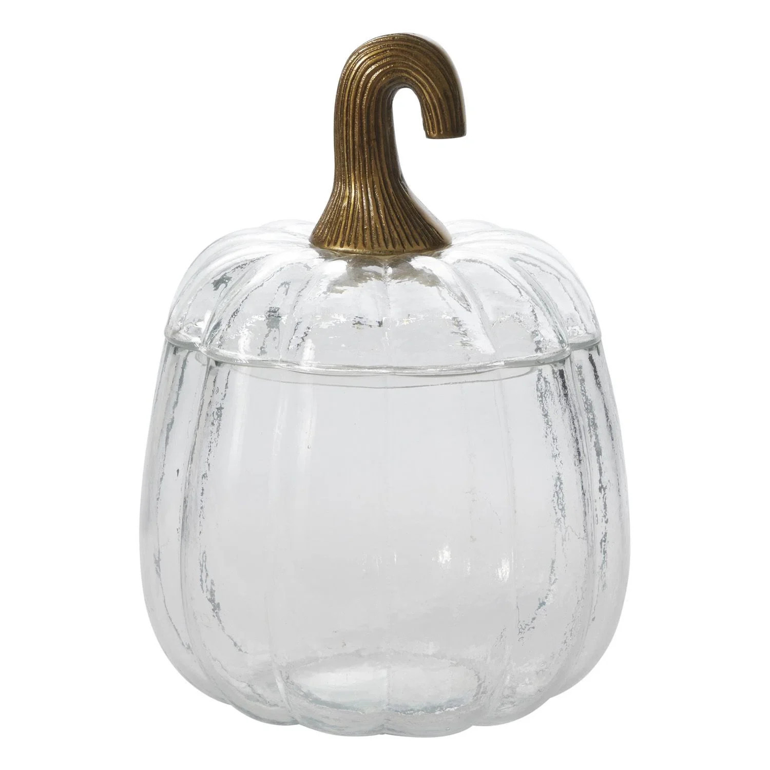 Joss & Main Translucent Pumpkin Terrarium 8.75"X8.75"X12.75" | Birch Lane | Birch Lane