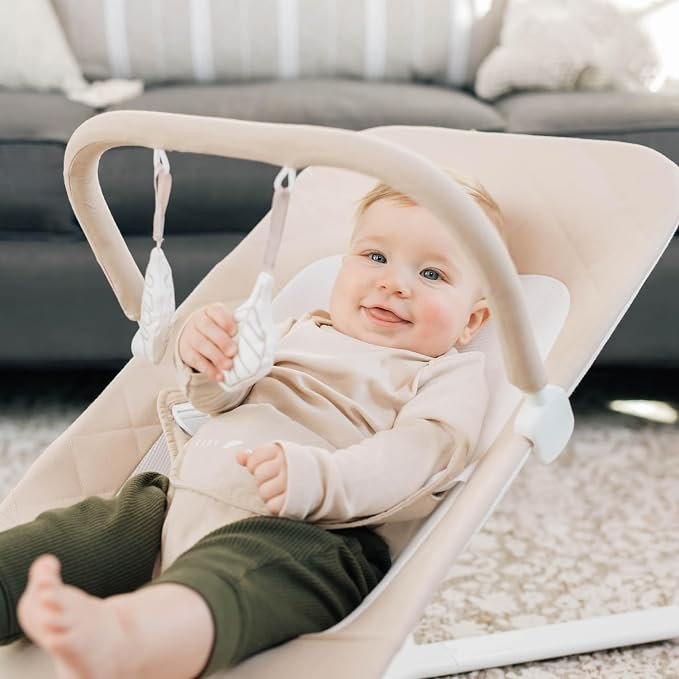 Baby Delight Alpine Deluxe Portable Bouncer, Infant, 0-6 Months, 100% GOTS Certified Cotton Fabri... | Amazon (US)