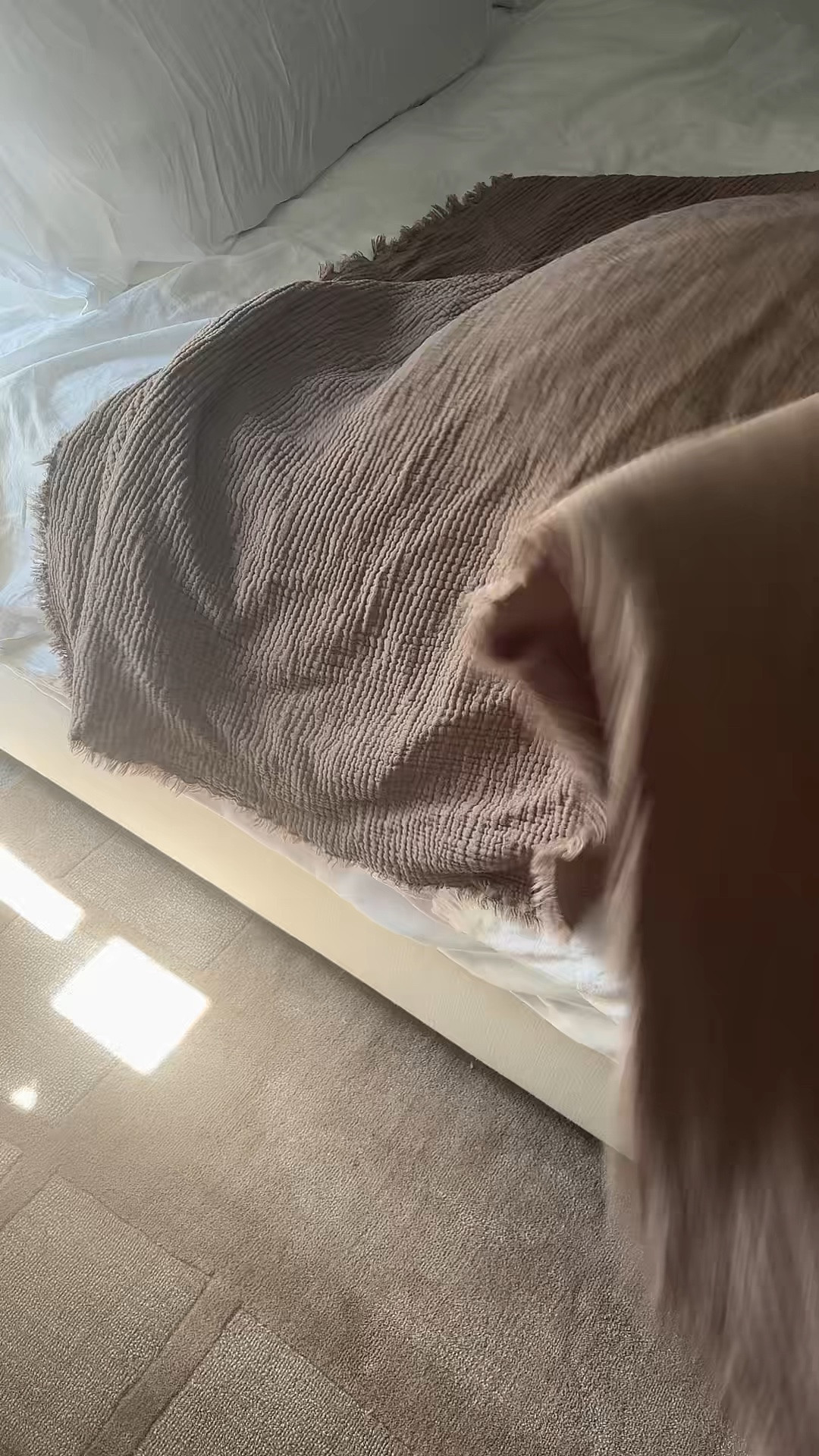 The perfect moody touch to our bedroom

#muslinblanket #cozy #cottonblanket #cozybedroom #bedding #bedroom #cozybedroom #blanket

#LTKselfcare #LTKHome