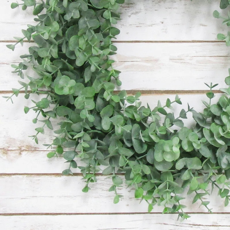Frosted Eucalyptus Leaf Plastic Wreath | Wayfair North America