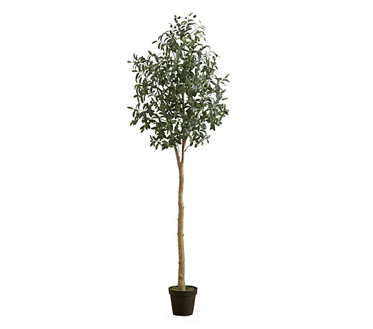 Nearly Natural 7-ft Artificial Olive Tree - QVC.com | QVC