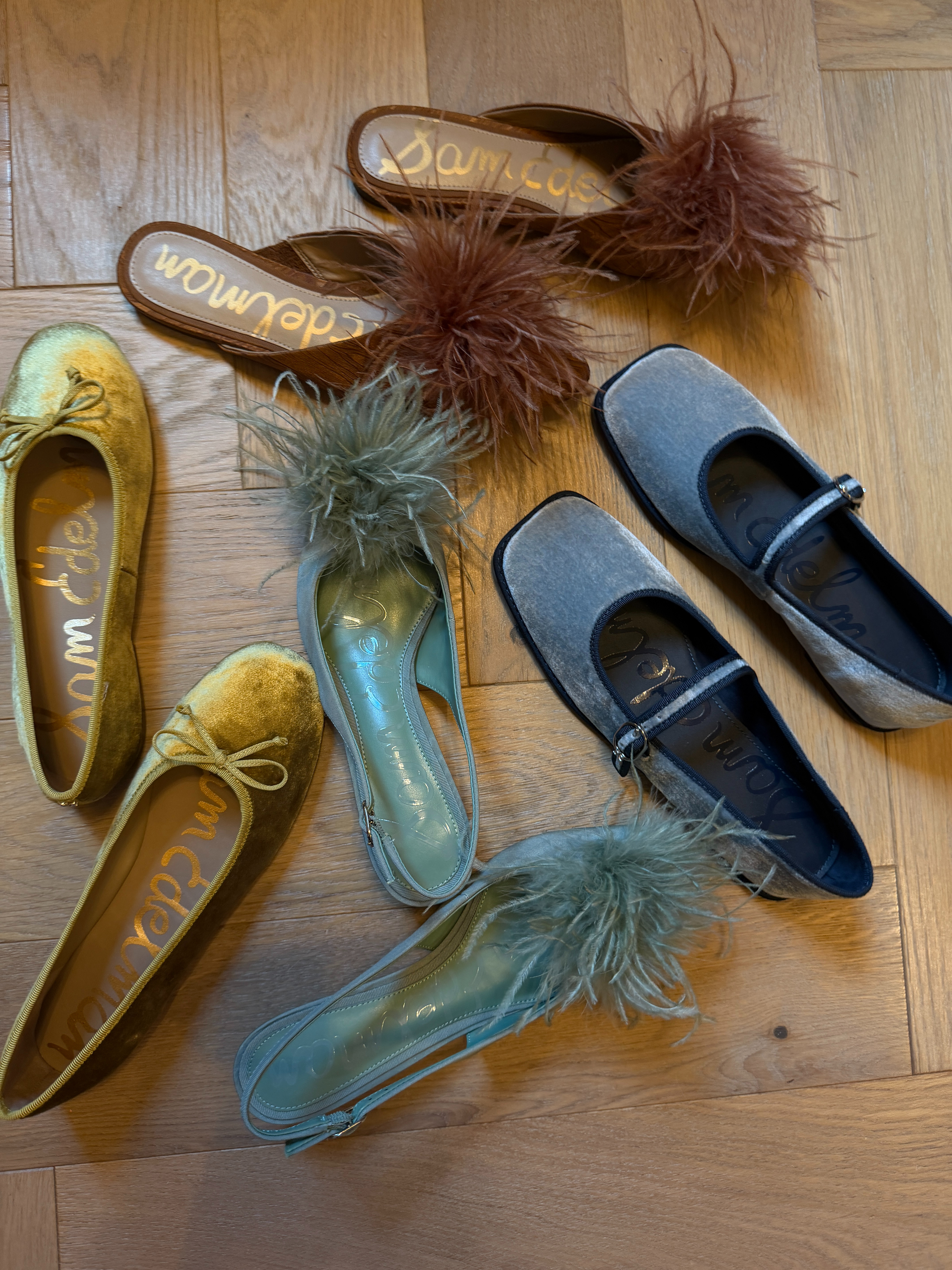 Finally got my fall shoes in from Sam Edelman! Loving the velvet for fall!  

 #LTKootd