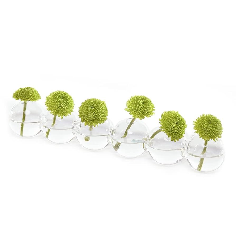 CHIVE ‘Caterpillar’ Bubble Bud Vase for Centerpieces — 6 Hole Multi Chamber Clear Glass Flo... | Amazon (US)