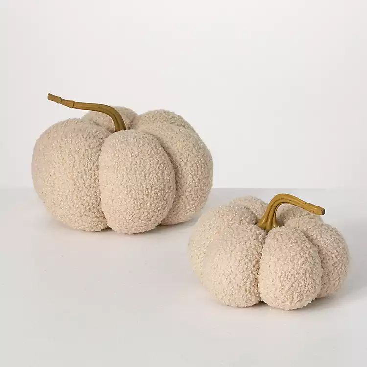 Ivory Knitted Boucle Pumpkins, Set of 2 | Kirkland's Home