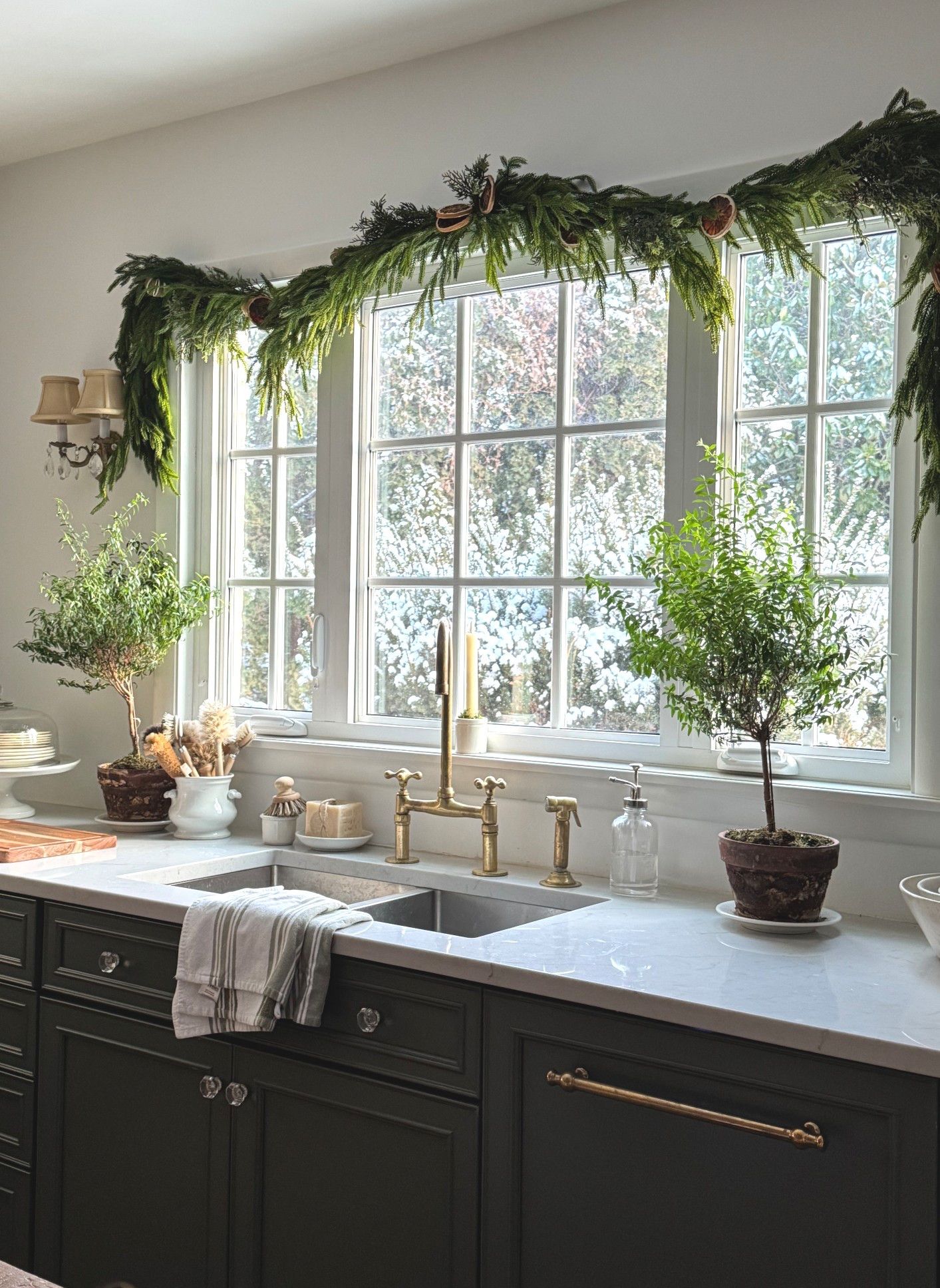 We had a lovely snow last night! 