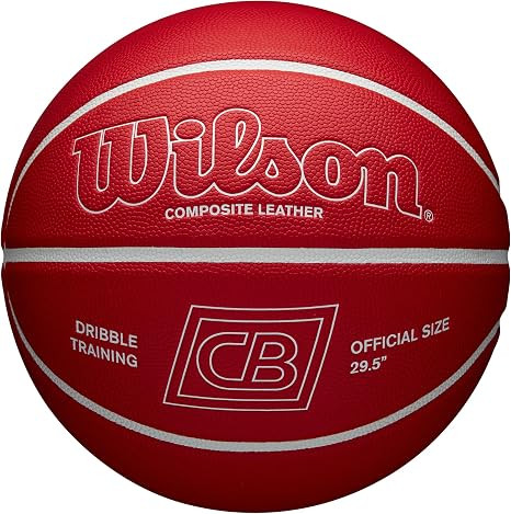 WILSON x Chris Brickley Training Basketballs - Size 6 and Size 7 | Amazon (US)
