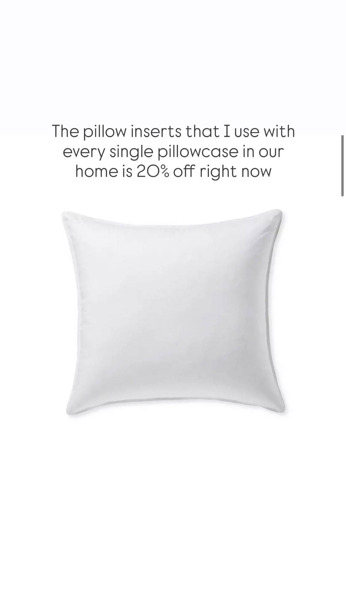 The pillow inserts that I use with every single pillowcase in our home is 20% off right now. 

#LTKSeasonal #LTKSaleAlert #LTKHome