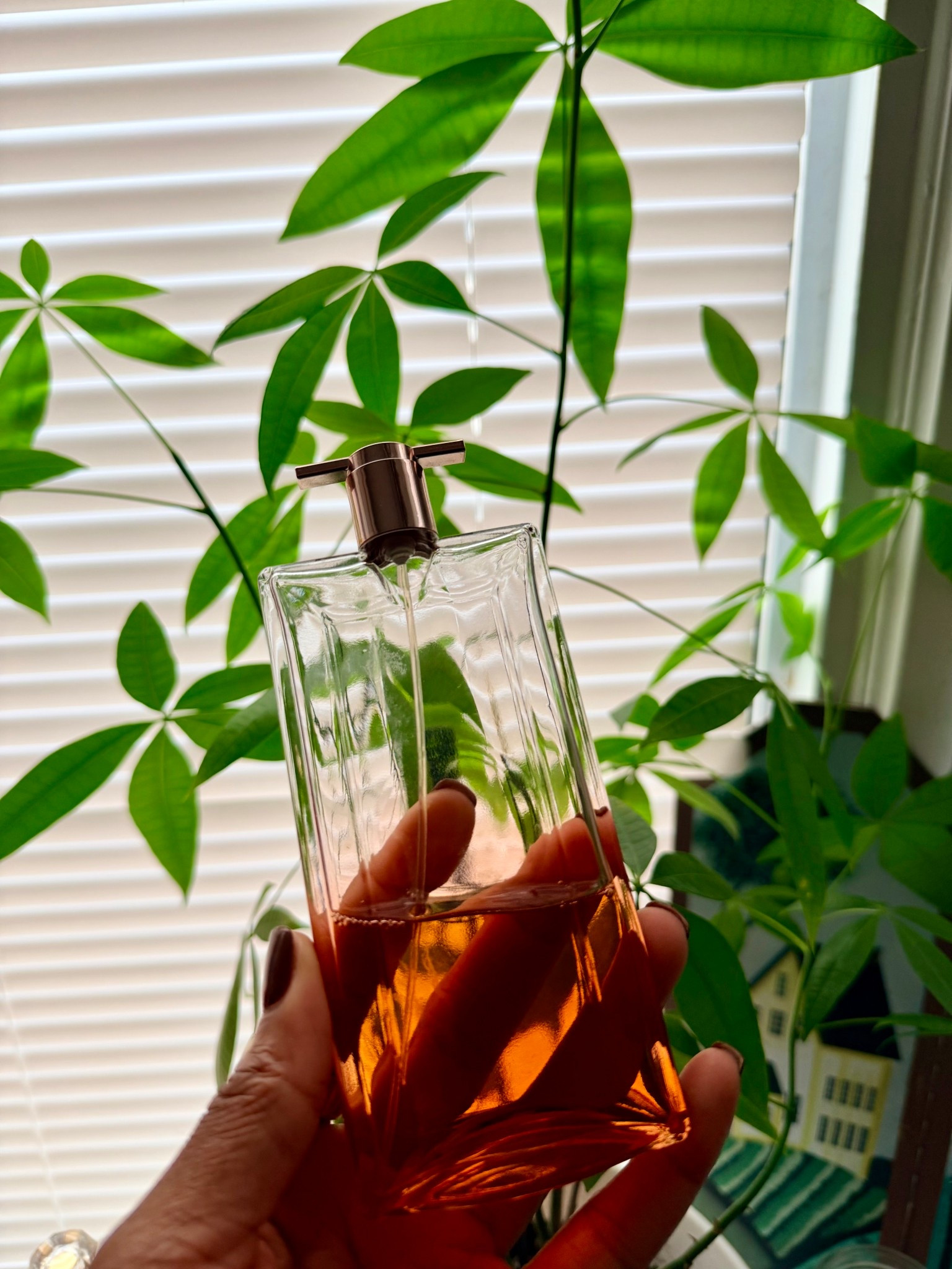 The dent I put in this tells you how delicious it smells. Lancôme Idôle Now has notes of rose orchid and vanilla that combine to create a sweet and alluring scent  

#LTKBeauty