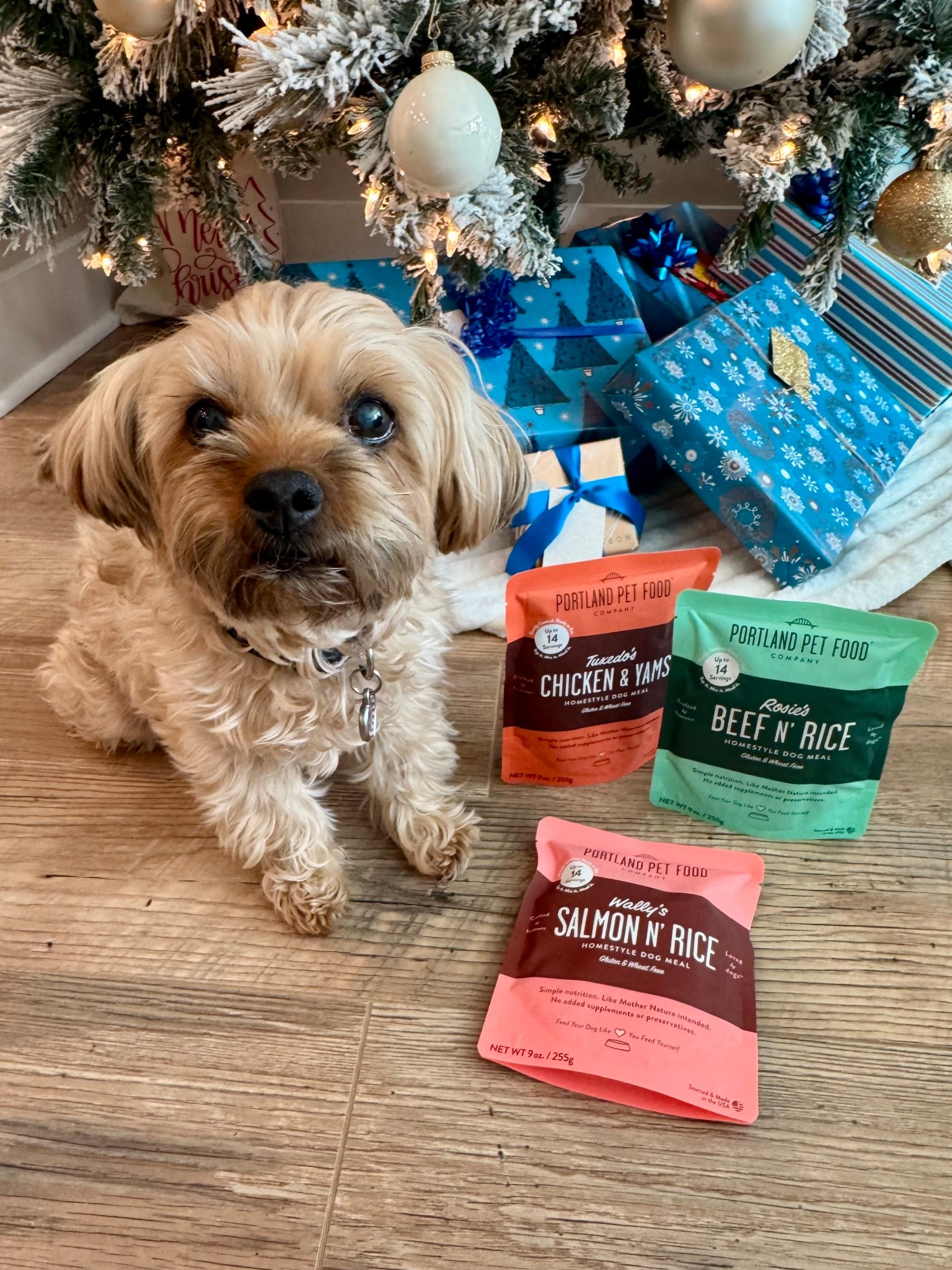 🎅🏼 came early...bringing Millie fresh, shelf-stable food packed with delicious goodness! 🐶

I love that no refrigeration is needed simplifying Millie's dinners during the hustle of the holidays! 🌲

#LTKmorningroutine #LTKdayinmylife #LTKmomlife