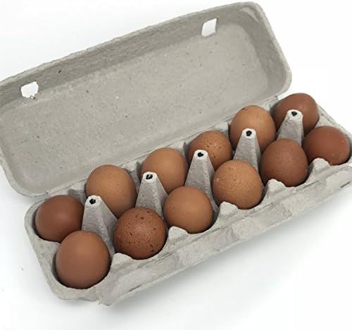 Pulp Egg Cartons, Blank Flattop Style Carton, 12-Egg, 100% Recyclable, Set of 12 | Amazon (US)