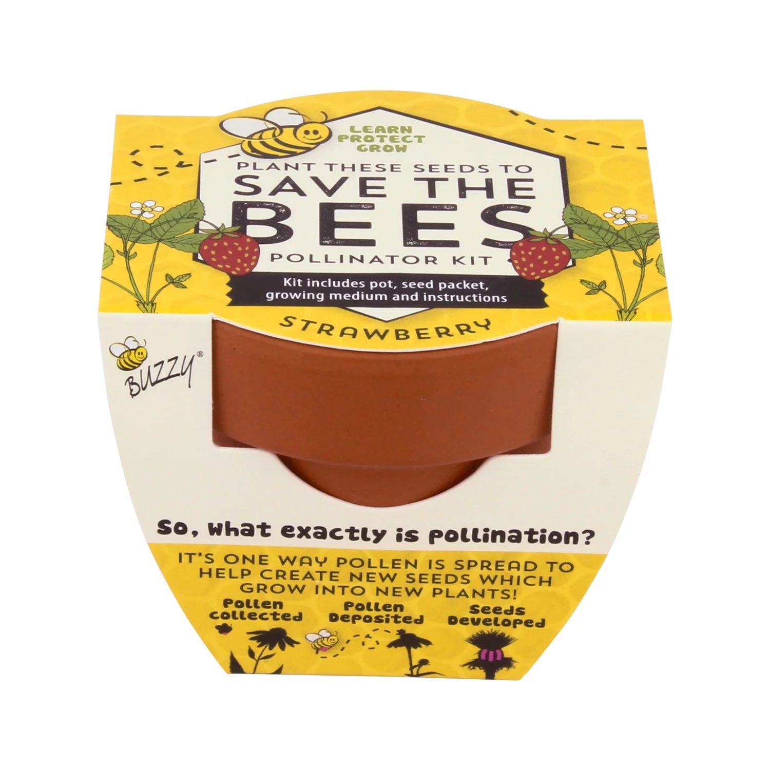 Buzzy Save The Bees Mini Terra Cotta Grow Kit - Strawberry - Guaranteed to Grow - Walmart.com | Walmart (US)