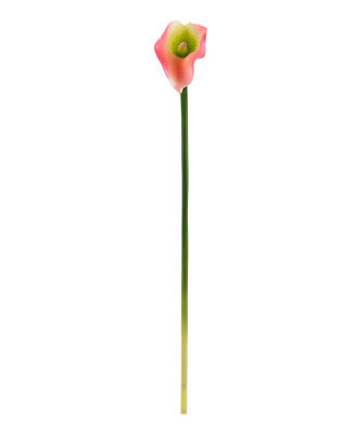 19.5" Calla Lily Artificial Flower, Set of 12 | Macy's