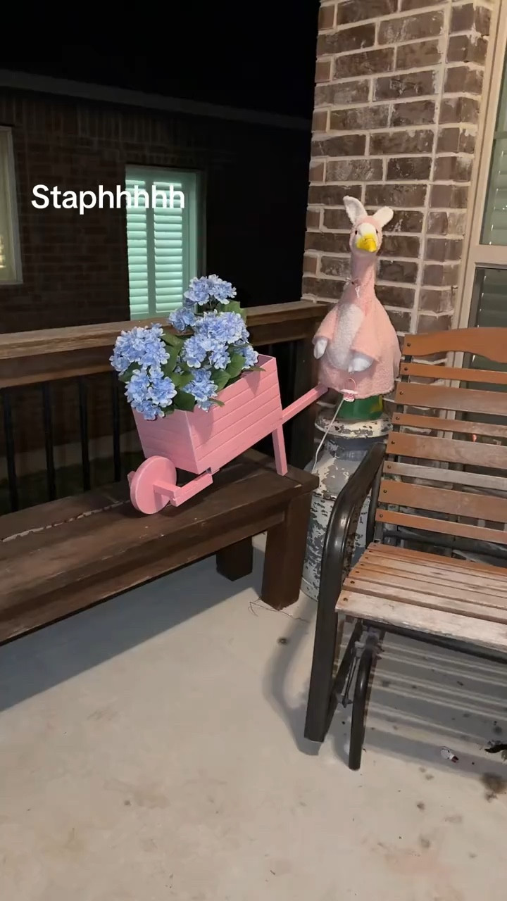 I am OBSESSED 

#LTKU #LTKvlog #LTKHome