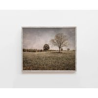Moody Tree Landscape Wall Art Decor With Neutral Tones & Vintage Textures. Transitional Countryside Print Canvas | Etsy (US)