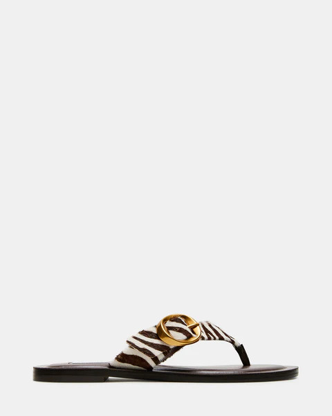 RAYS ZEBRA | Steve Madden (US)