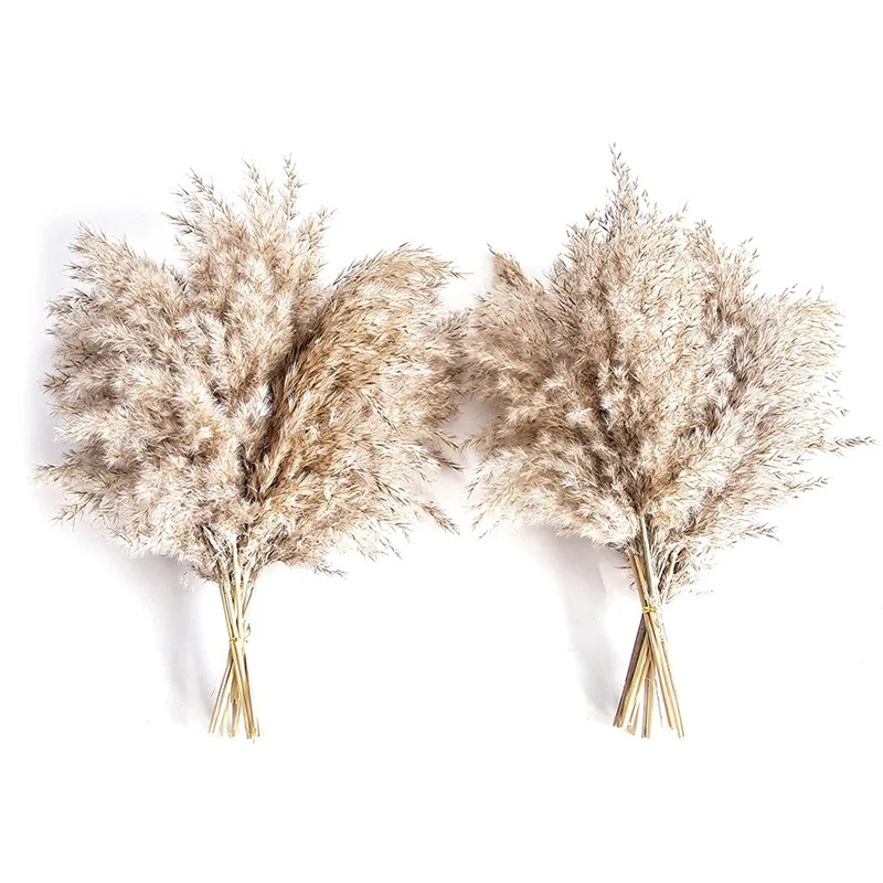 20Pcs Natural Dried Pampas Grass, Wild Fluffy Pompas Floral, Boho Decor Flowers Suitable for Outd... | Walmart (US)