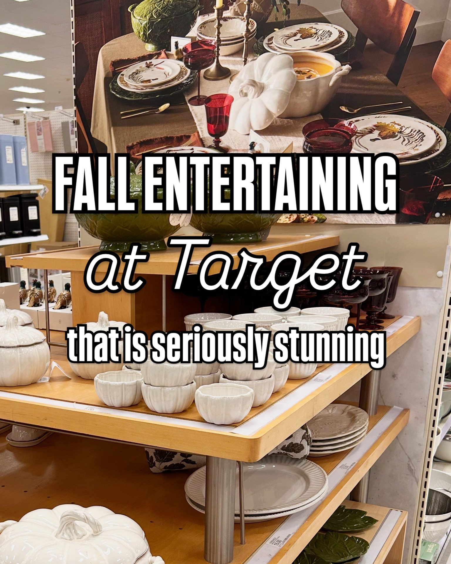 Fall Entertaining at Target!

#LTKSeasonal #LTKHome