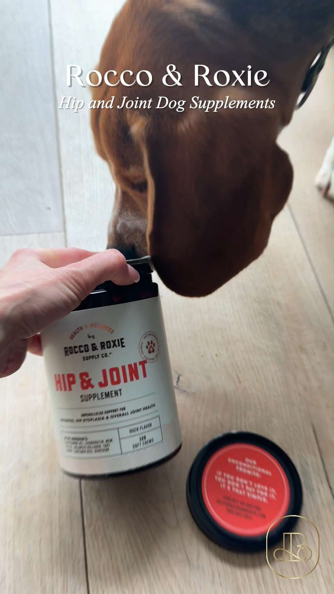 Give your furry friend the gift of mobility and comfort! Rocco & Roxie Hip and Joint Dog Supplements are a total game-changer for anyone looking to support their pet’s active lifestyle 🐾  It’s great to give to the "dedicated pet owner" who wants a high-quality, vet-formulated solution or as a standout addition to a healthy pup’s daily routine! 🐕

#RoccoAndRoxie #DogWellness #JointSupport #PetCareHacks #HealthyPup #PetHealth #LTKmomlife #LTKHome