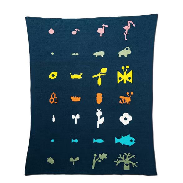 Lifecycle Reversible Throw Blanket - Christian Robinson x Target | Target