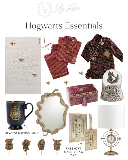 Hogwarts Halloween. Harry Potter. Halloween ideas. Costume ideas  

#LTKunder100 #LTKSeasonal #LTKHalloween