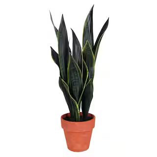22" Potted Snake Plant by Ashland® | Michaels Stores