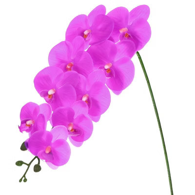 Unique Bargains Artificial Orchid Flowers Nine-headed Large Faux Phalaenopsis Silk Bouquets Real Touch 37 Inch Dark Purple 1 Pcs | Target