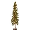 National Tree 6-Foot Hickory Cedar Tree with Clear Lights (CED7-60LO-S) | Amazon (US)