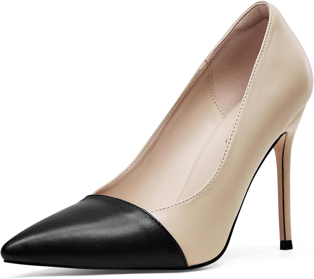Elisabet Tang Women's High Heels Pumps Closed Pointed Toe Stiletto 4inch Heels Classic Office Spe... | Amazon (US)