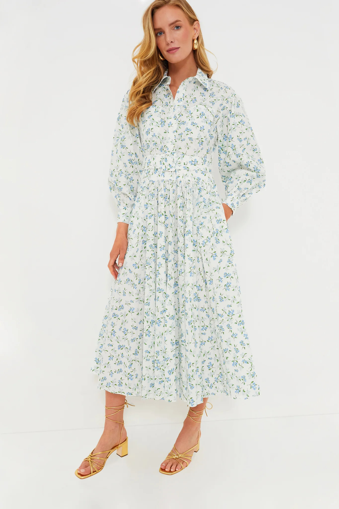 Dewberry Floral Randolph Dress | Tuckernuck (US)