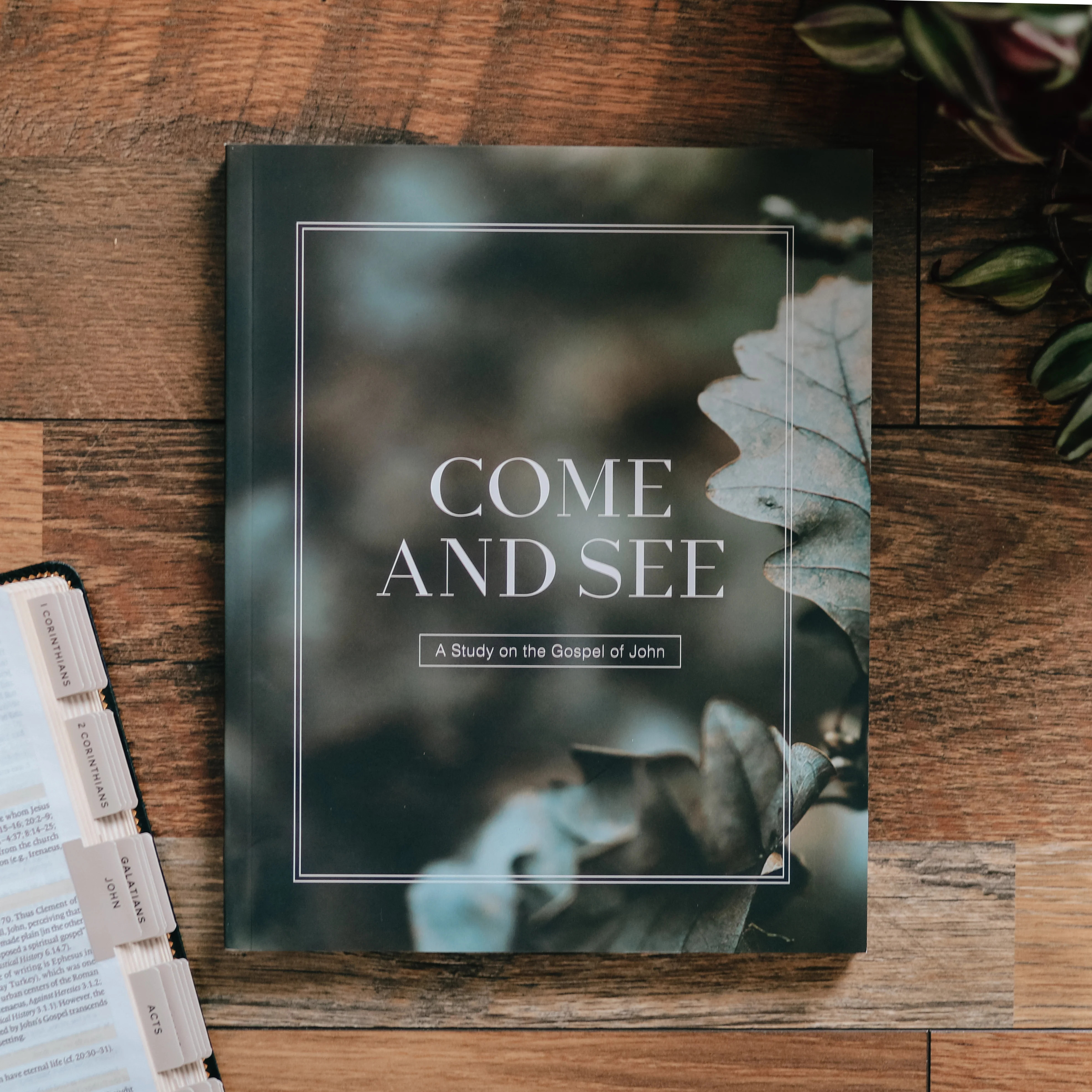 Come and See | Bible Study on John - Men | The Daily Grace Co.