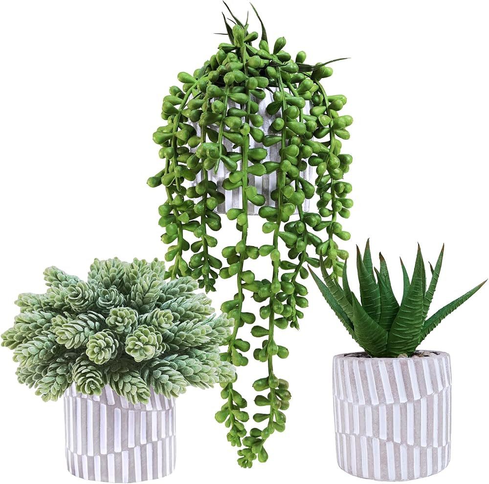 Winlyn 3 Pack Small Faux Succulent Plants Fake String of Pearls Aloe Hops Succulents in Gray Geom... | Amazon (US)
