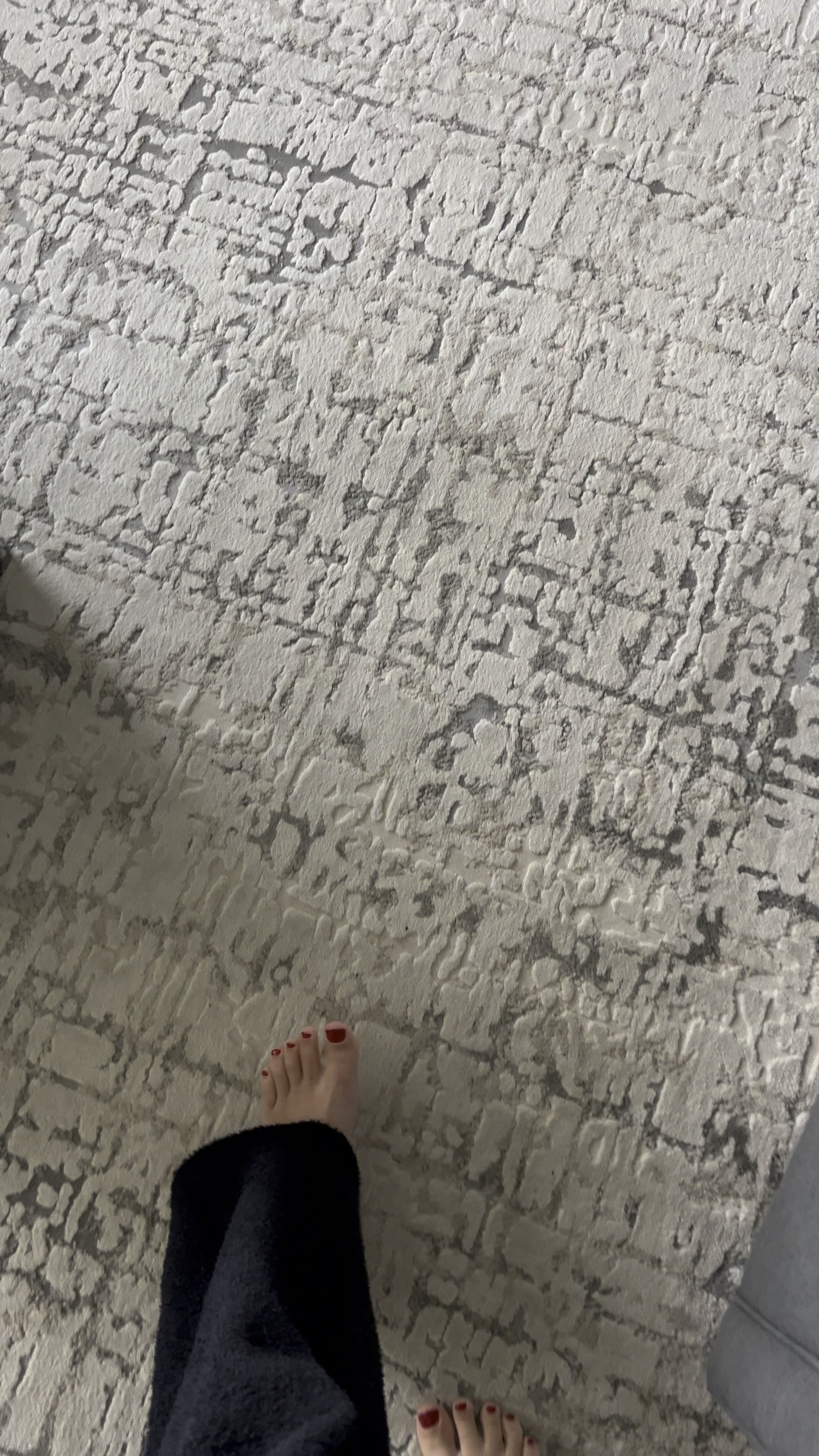 Modern rug dupes 

#LTKhome #LTKVideo