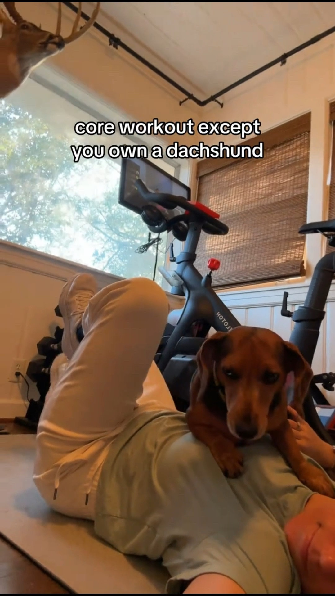 lol😂😂 linked my workout gear for my home gym, and my freely outfit from academy!

#LTKActive #LTKHome