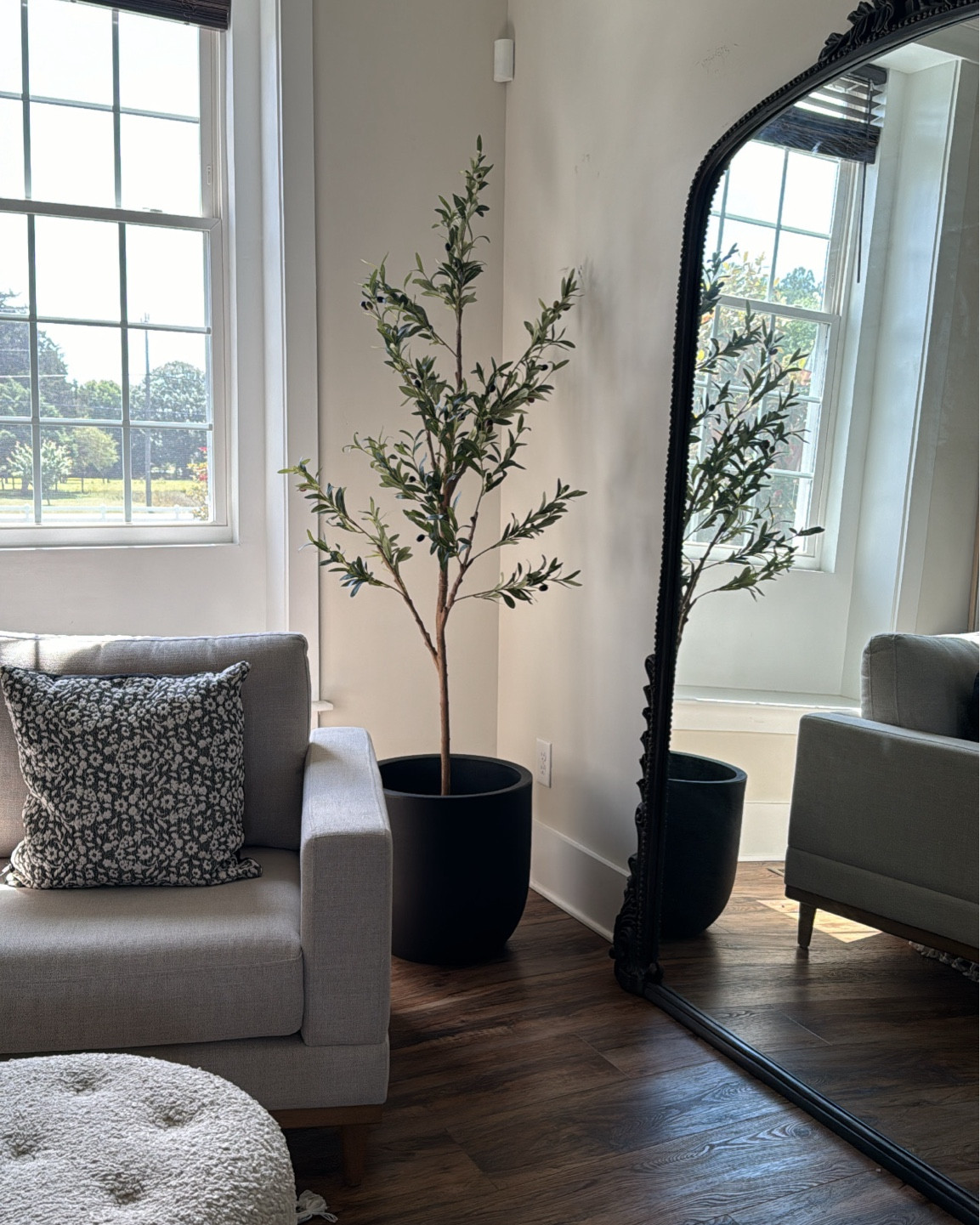 Walmart olive tree on sale! I have the 6ft version! @walmart #walmartpartner #walmartfinds

#LTKFindsUnder50 #LTKSaleAlert #LTKFindsUnder100