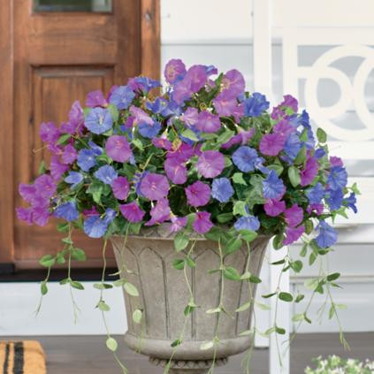 Parkside Petunia Urn Filler | Grandin Road | Grandin Road