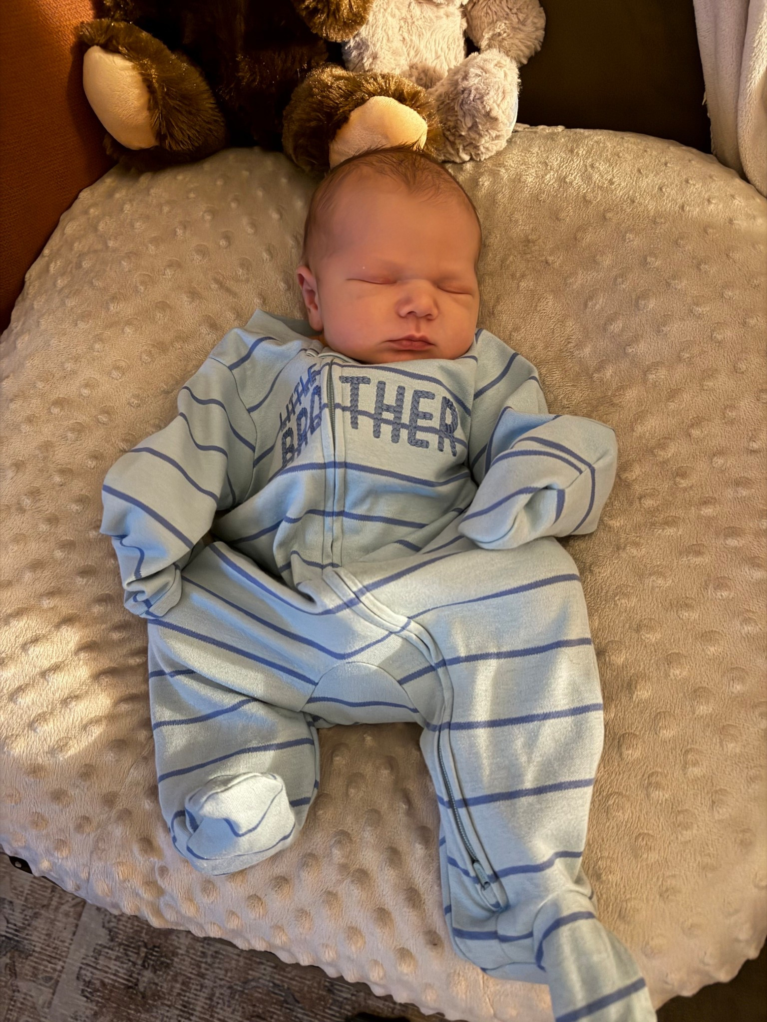 Baby pillow lounger with Minky dot cover


#LTKSaleAlert #LTKBaby